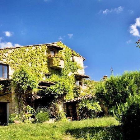 Podere Patrignone Guest House คาสเตลลินาอินเคียนติ ภายนอก รูปภาพ