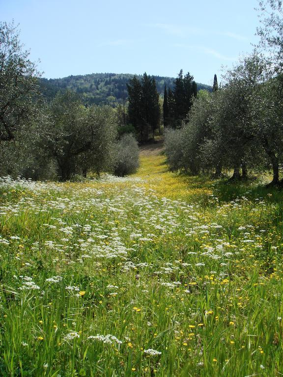 Podere Patrignone Guest House คาสเตลลินาอินเคียนติ ภายนอก รูปภาพ