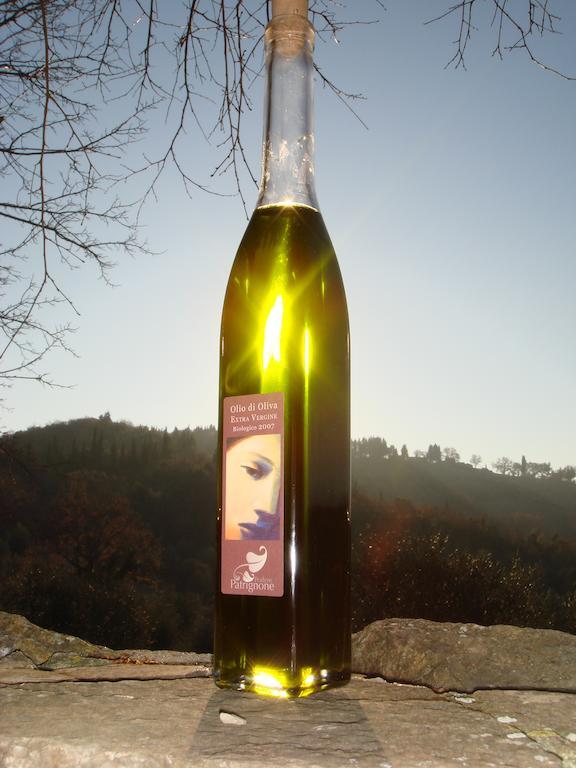 Podere Patrignone Guest House คาสเตลลินาอินเคียนติ ภายนอก รูปภาพ