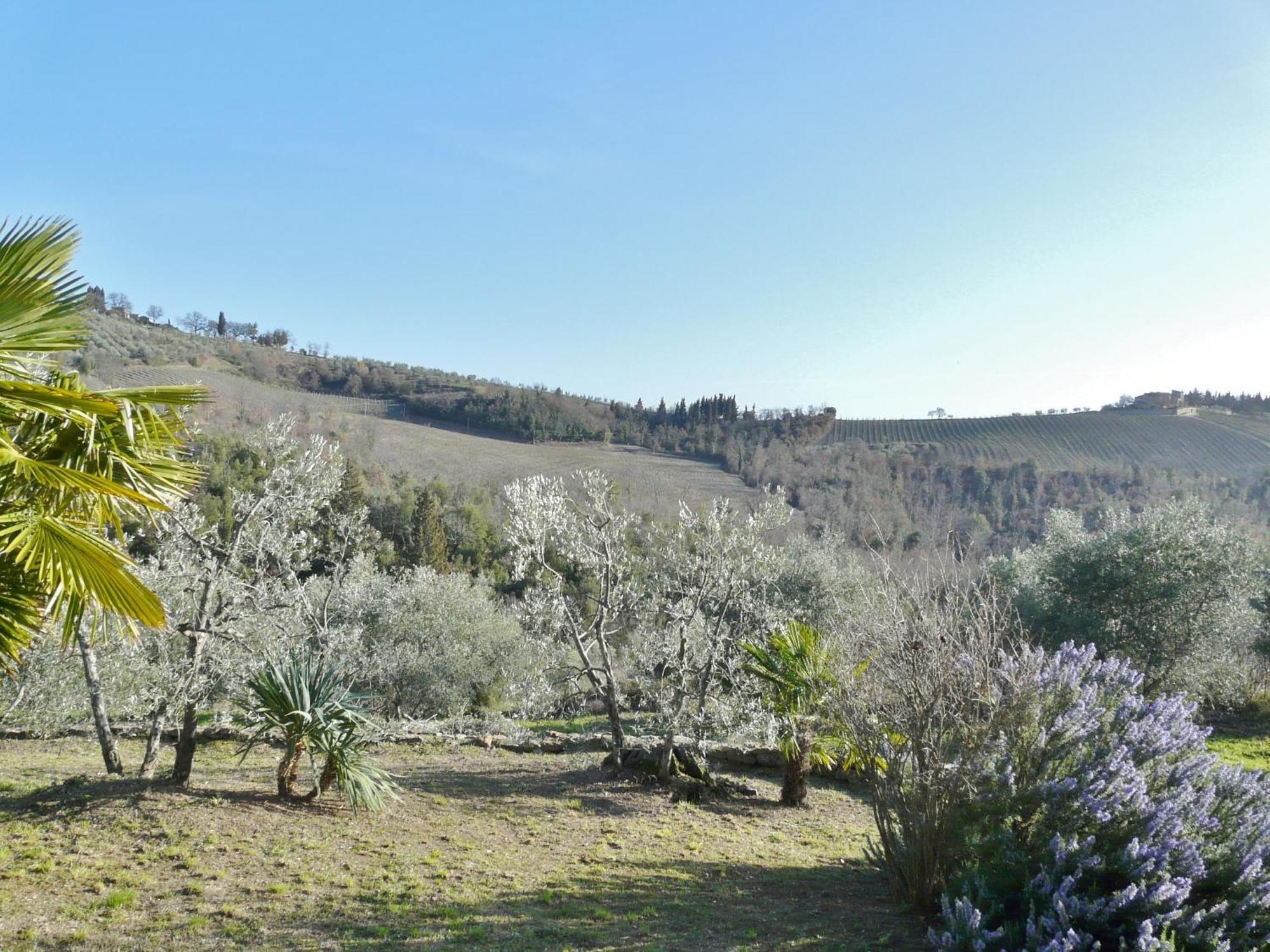 Podere Patrignone Guest House คาสเตลลินาอินเคียนติ ห้อง รูปภาพ