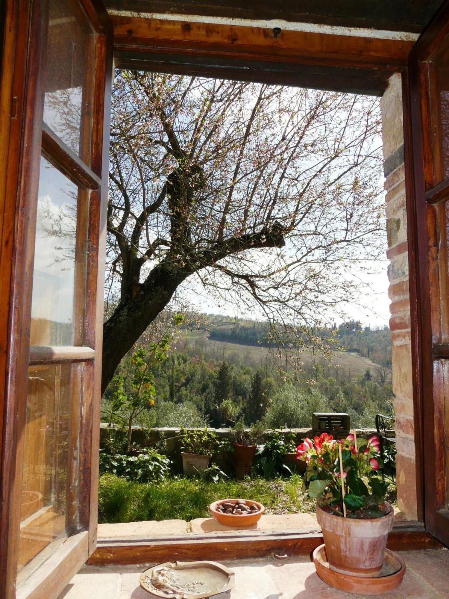 Podere Patrignone Guest House คาสเตลลินาอินเคียนติ ห้อง รูปภาพ