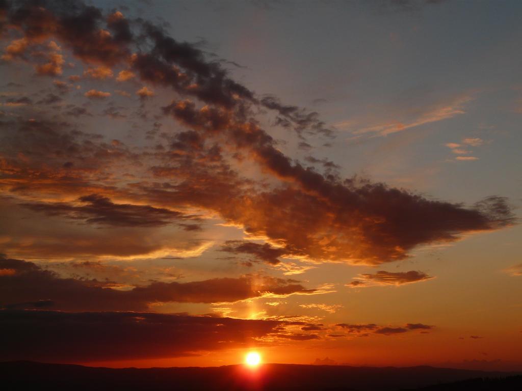 Podere Patrignone Guest House คาสเตลลินาอินเคียนติ ภายนอก รูปภาพ